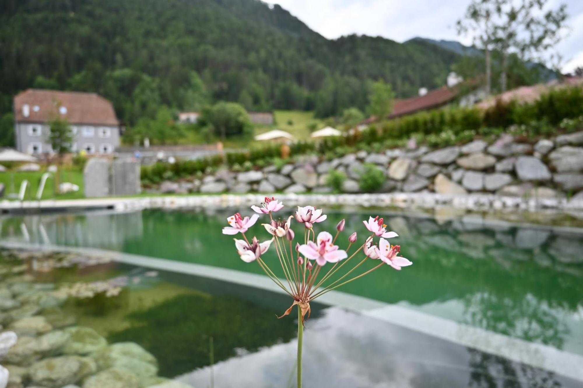 Tilia Living - B&B Mit Dem Komfort Eines Kleinen, Feinen Hotels Рид-им-Оберинталь Экстерьер фото